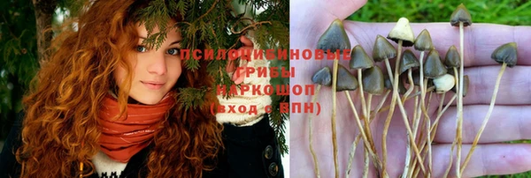 соль курить ск Заводоуковск