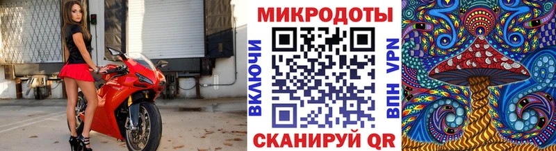 Купить  Борисоглебск  Галлюциногенные грибы Cubensis 